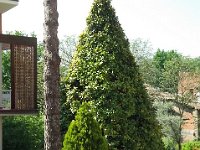Brisighella 0018