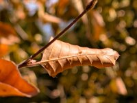 Natur 0290