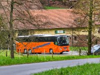 Der Zwingenberger 0323