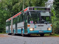 KurpfalzBus_0484 09/2021, SEV Neckartal