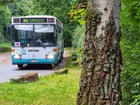 KurpfalzBus_0486 09/2021, SEV Neckartal