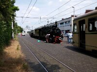 Feuriger Elias in MA 2016 0007 06/2016, rnv Betriebshof Möhlstraße