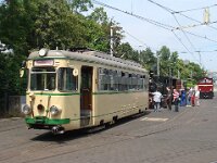 Feuriger Elias in MA 2016 0012 06/2016, Foto: J. Niemeyer