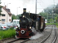 Feuriger Elias in MA 2016 0018 06/2016, Feudenheim