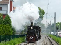 Feuriger Elias in MA 2016 0019 06/2016, Feudenheim