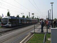 Maimarkt 2010 0005