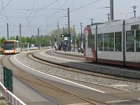 Maimarkt 2010 0012