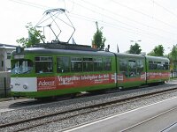 Maimarkt 2010 0019
