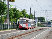 Maimarkt 2011 0017
